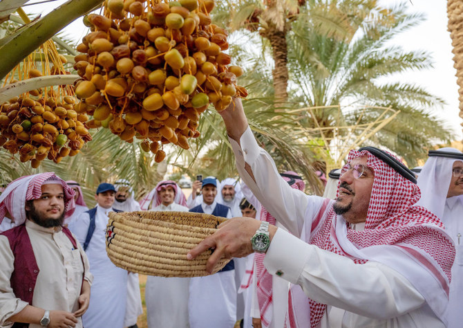 Palm Harvest Initiative launched in Saudi Arabia’s Shimasiyah. (SPA)