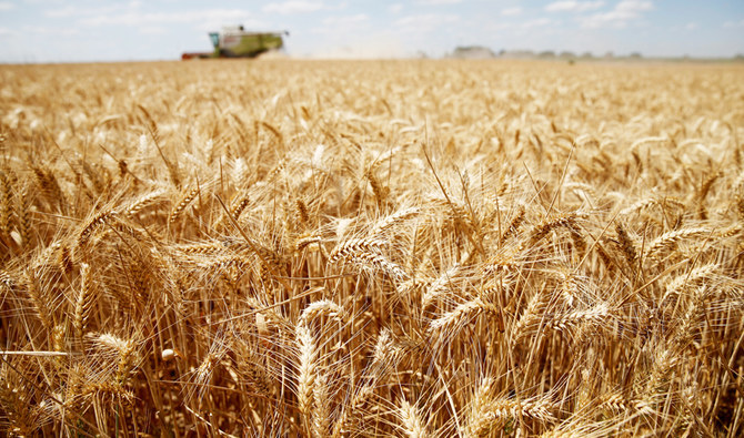PIF-owned SALIC wins contract to import 180K tons of wheat