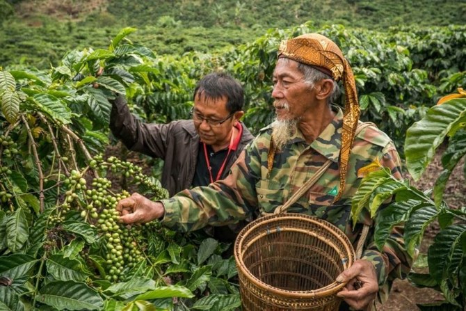 Indonesian coffee exporters eye potential in Middle East market