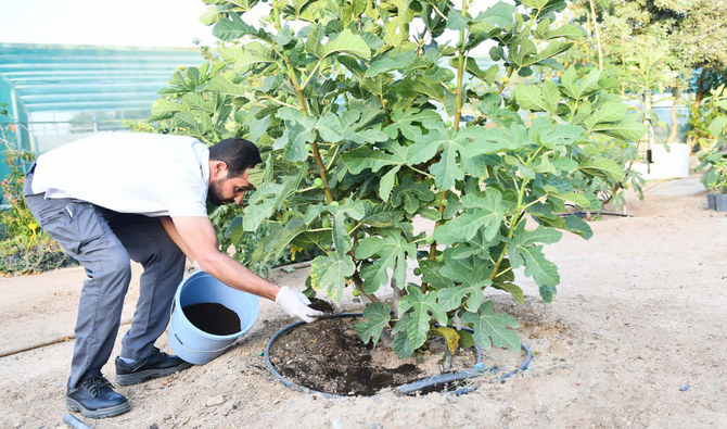 Saudi farmer recycles agri-waste to transform it into vermicompost