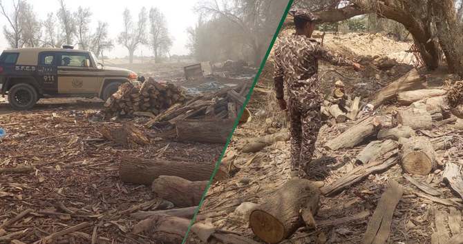 Saudi Special Forces for Environmental Security personnel have arrested firewood smugglers in Riyadh. (Twitter @SFES_KSA)