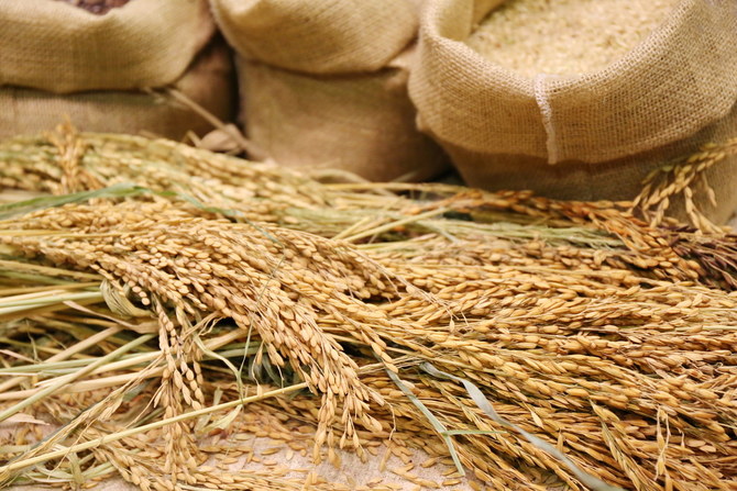 Saudi Grains Organization buys 19k tons of wheat for $9m from local farmers 