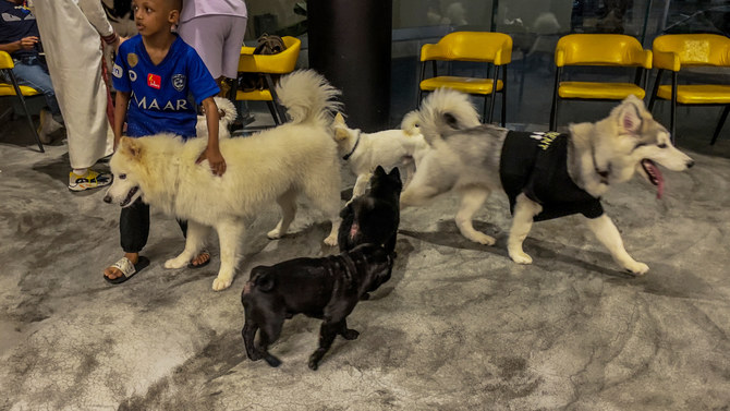A visit to the Barking Lot in Al-Khobar, Saudi Arabia’s first cafe dedicated to dogs