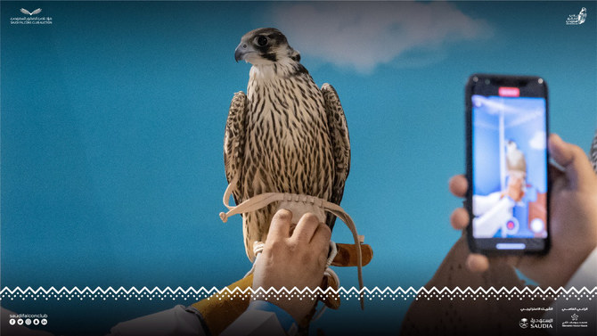 Saudi falcon auction sale exceeds SR1 million amid fierce competition