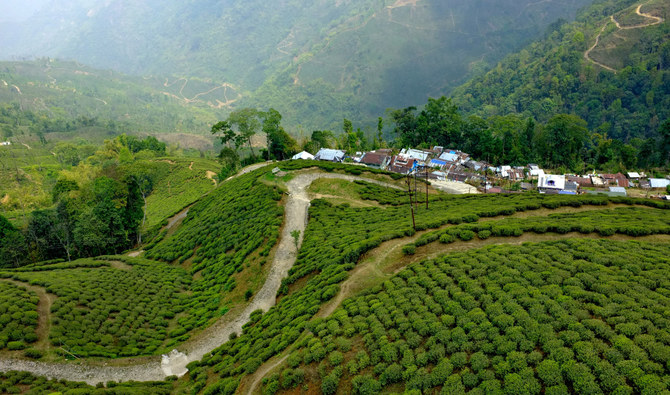 Climate change, pandemic pushes India’s famed Darjeeling tea to the brink