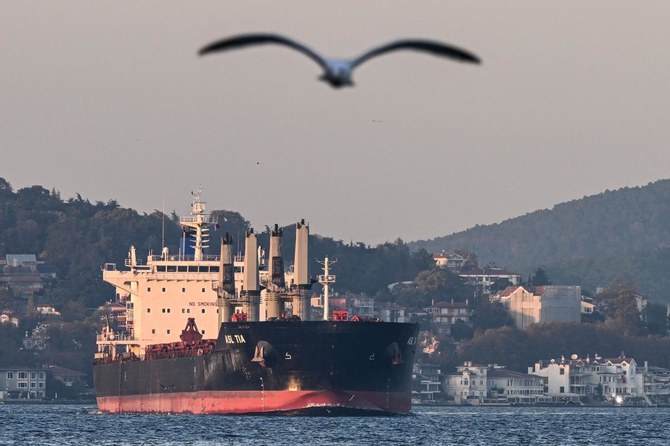 Six grain ships leave Ukraine ports after Russia rejoins deal: Turkiye