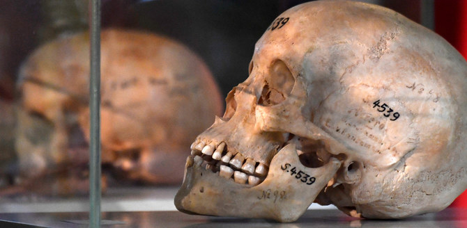 Belgian auction house delists Arab, African skulls amid backlash
