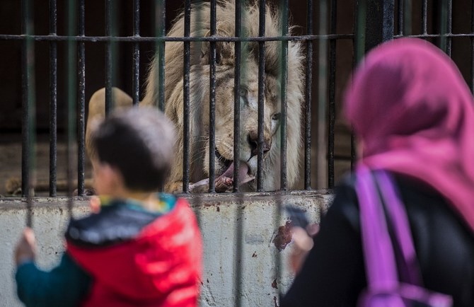 Giza Zoo set to go cageless in renovation plan