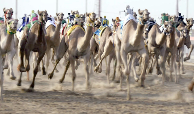 ‘Camel Race Secrets’ highlights UAE’s heritage sport