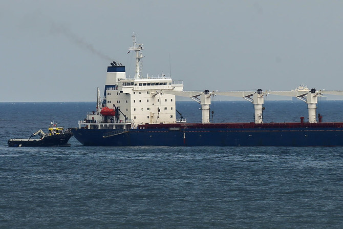 Inspections of Ukrainian grain ships halved since October