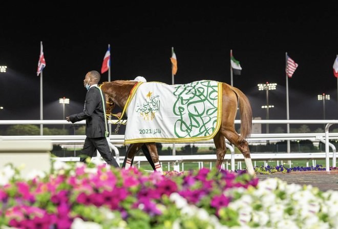 Local horses looking for 3rd straight Saudi Cup win