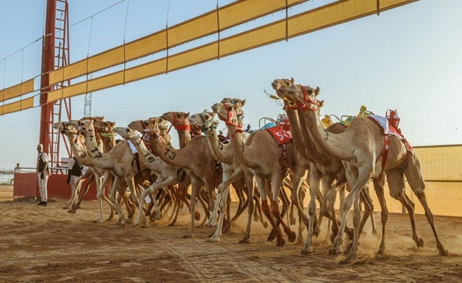 AlUla Camel Cup to crown ‘Champion of Champions’ in stunning setting