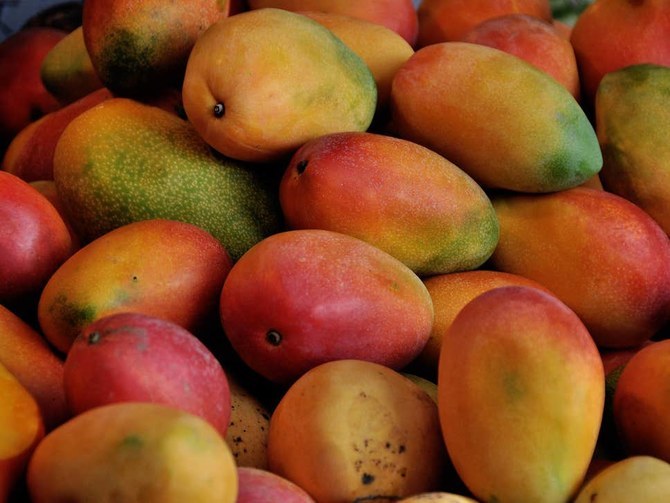 AlUla, Umluj celebrate superfood with mango festivals