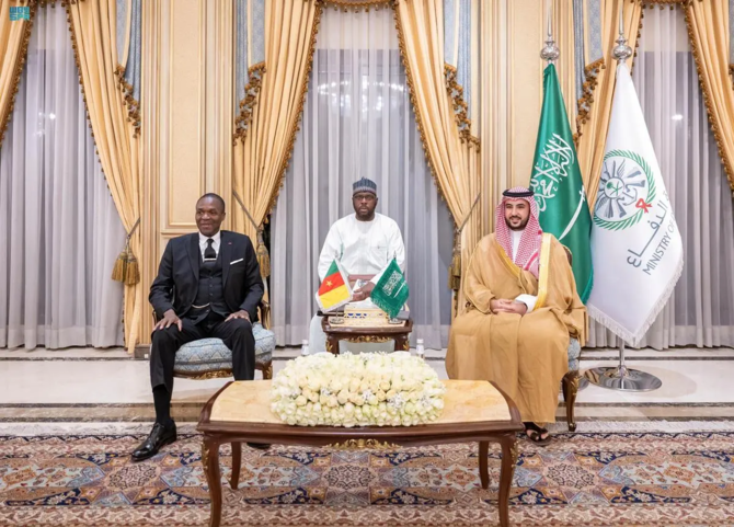 Saudi and Cameroonian defense ministers hold bilateral talks