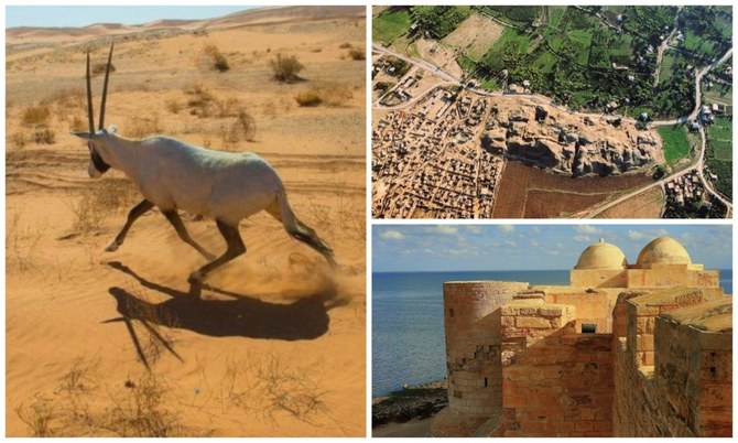 Saudi Arabia’s Uruq Bani Ma’arid among MENA sites up for UNESCO World Heritage List consideration
