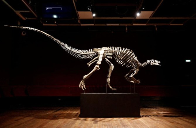 Dinosaur known as ‘Barry’ goes on sale in rare Paris auction