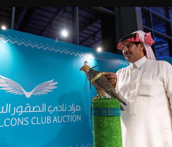 Saudi falcon auction about to take flight