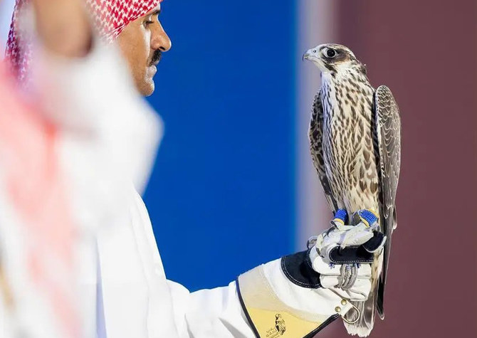 Saudi Falcon Club auction sales soar to $533,000