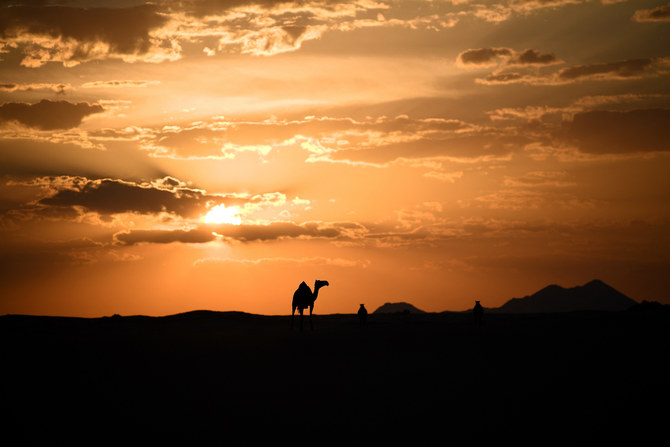 A camel in the sand desert can be seen at sunset in Saudi Arabia. (File/AFP)