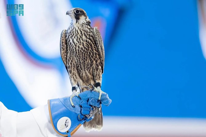 Saudi Falcons Club auction sales soar to $1.6m