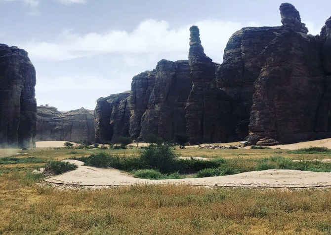The commission aims to increase green areas in AlUla, employ the best international practices to manage natural reserves. (SPA)