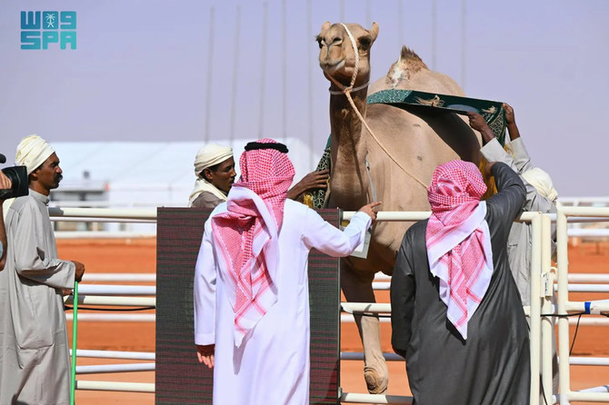 The 8th King Abdulaziz Camel Festival set to bring ‘glory’ to Al-Sayahid