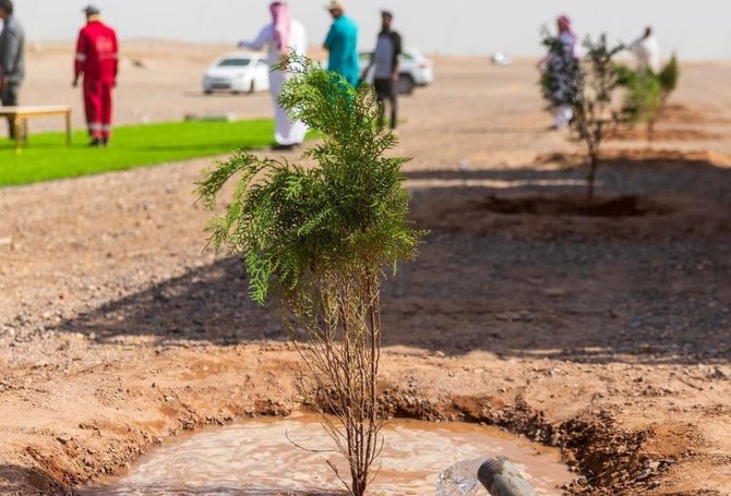 National Water Co. plants 1m trees in Madinah region