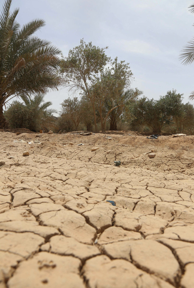 World needs to unite to fight desertification