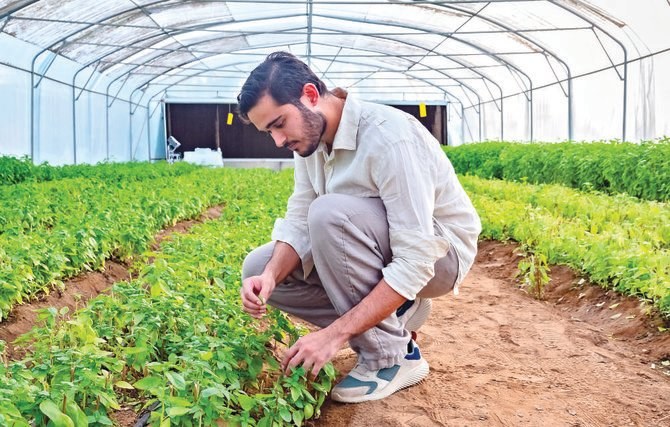 Preventing future food security crises in the Arab world