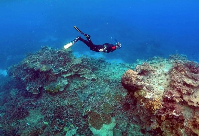 Unless we act now to save coral reefs we might be dooming ourselves