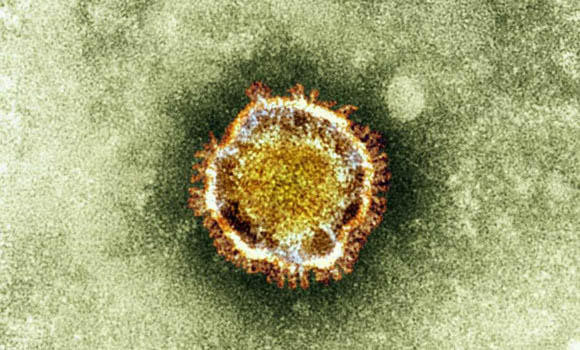 Experts hired as 6 new coronavirus cases detected