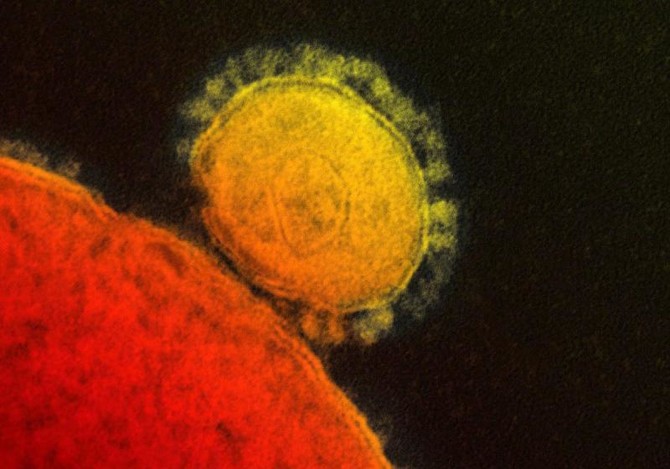 Netherlands reports second case of MERS virus