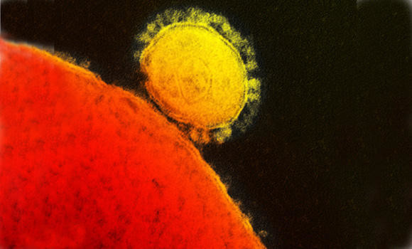 MERS virus spreads easily, deadlier than SARS — scientists