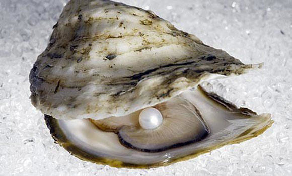Pearl found inside oyster for headache cure