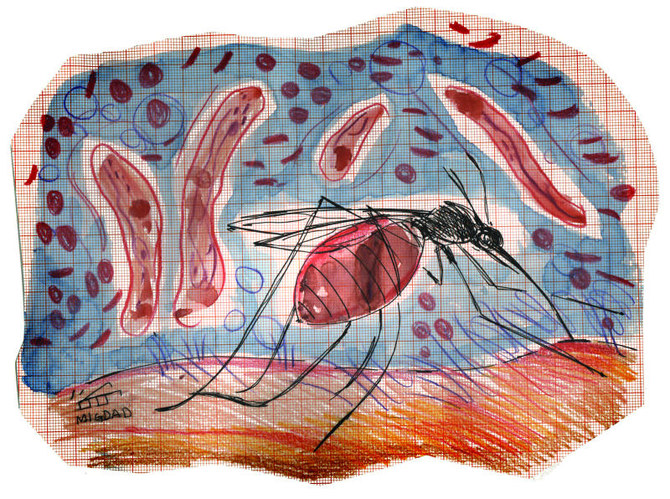Malaria: A solid investment for GCC countries