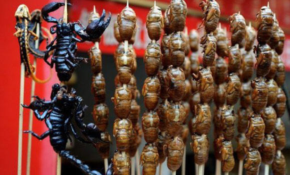 Sting in the tail: Italian customs seize 600 scorpions