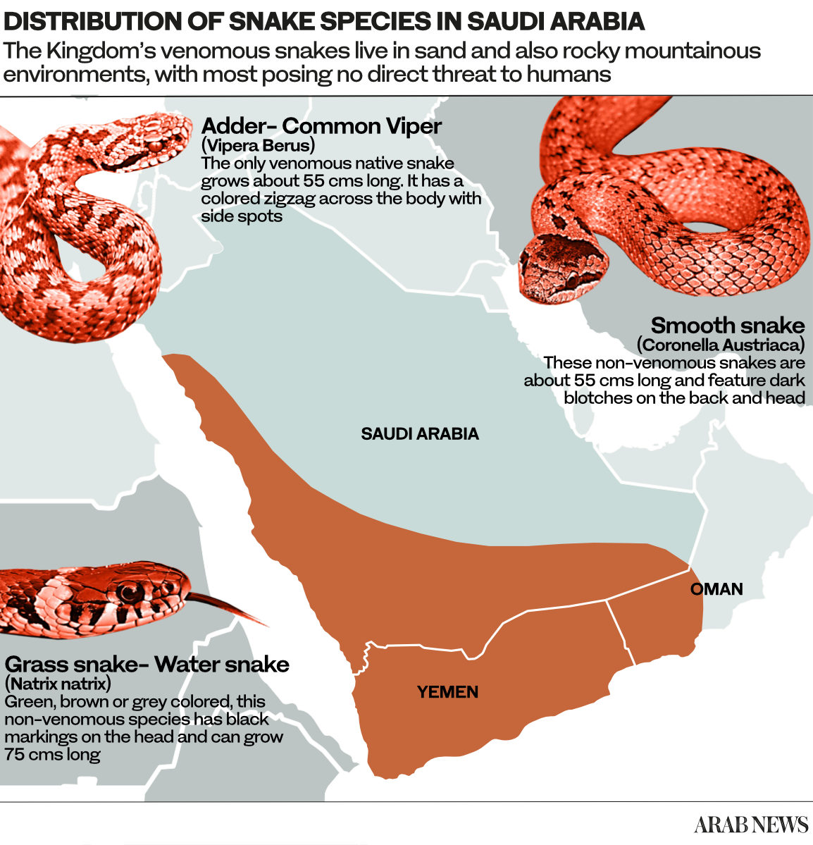 Where Do Snakes Live Map
