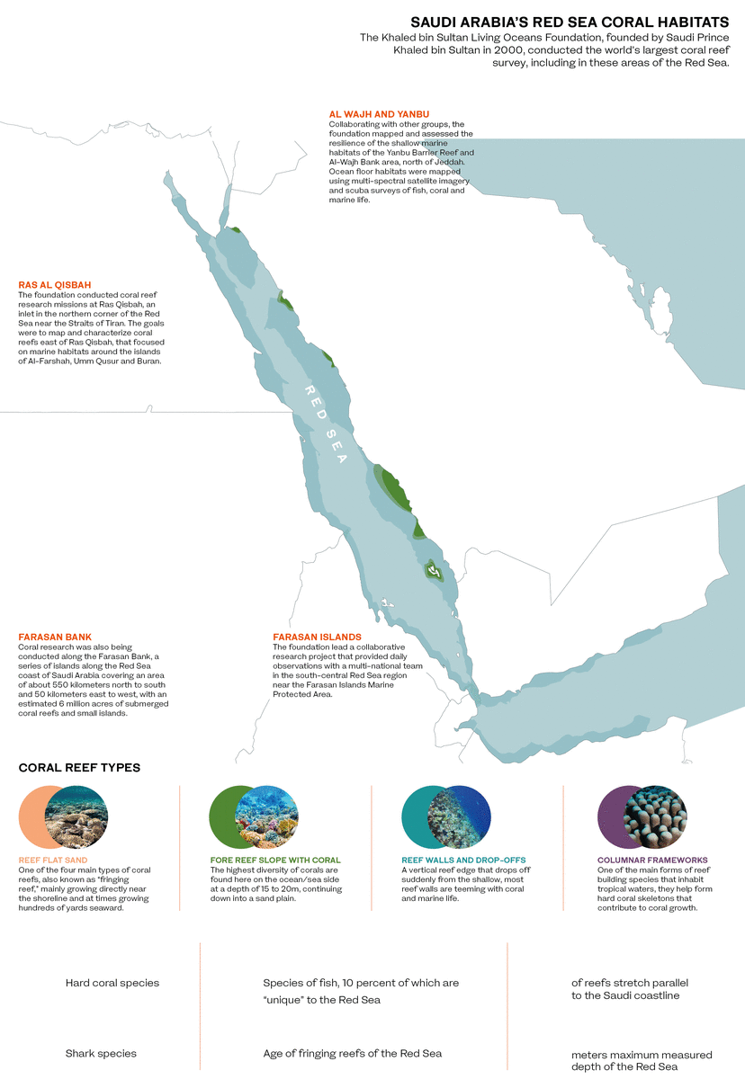 Saving Saudi Arabia S Stunning Red Sea Habitats Arab News