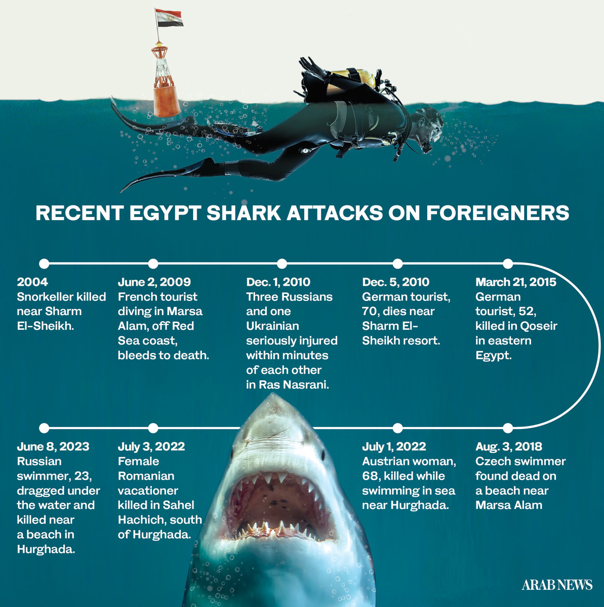 egypt tourism shark