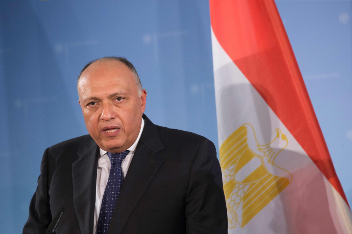 egypt fm in syria turkey