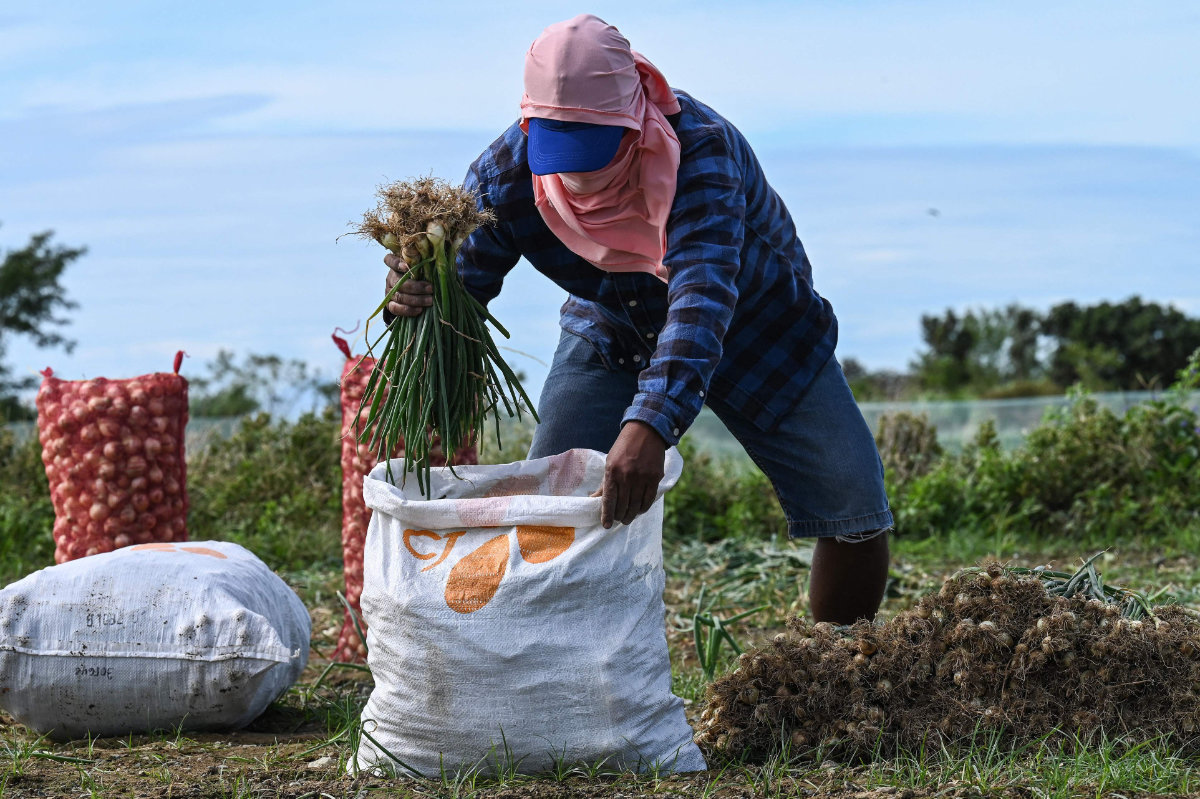 Eye-watering onion prices make Philippine staple a luxury | Arab News
