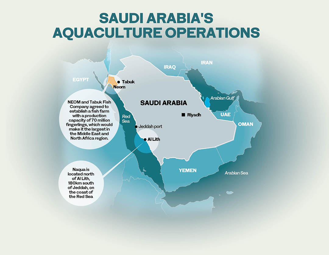 Saudi fisheries program CEO lays out $4bn investment plan
