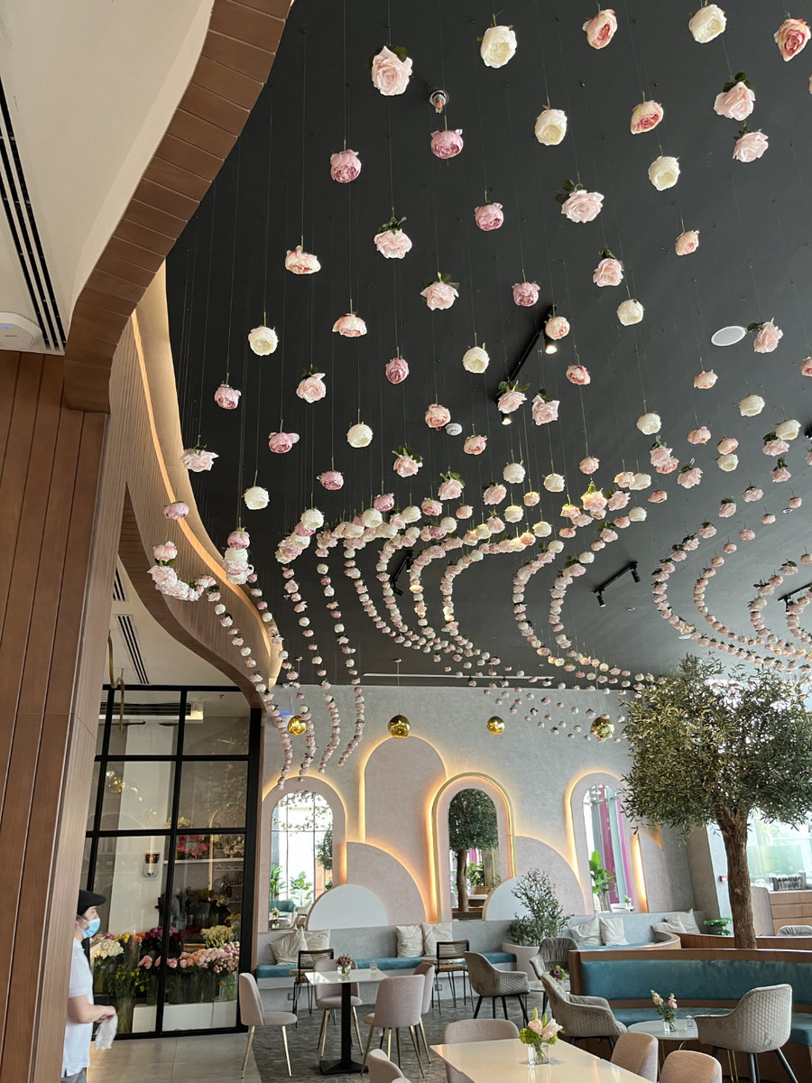 Where We Are Going Today Lily Arab News